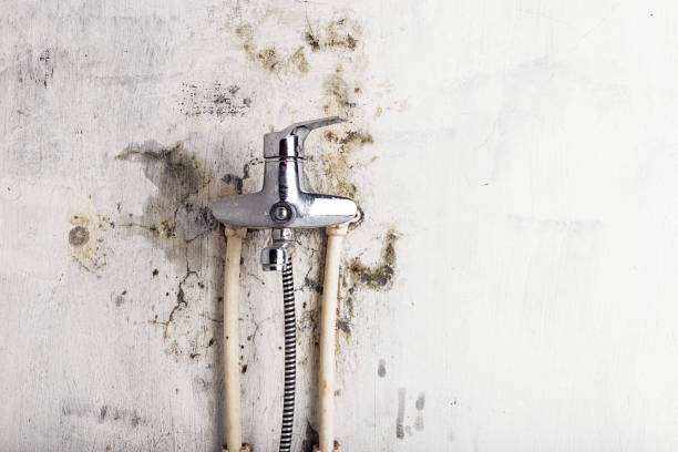 Best Residential Mold Removal  in Middletown, DE