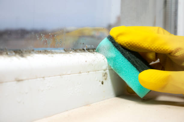 Best Mold Testing  in Middletown, DE