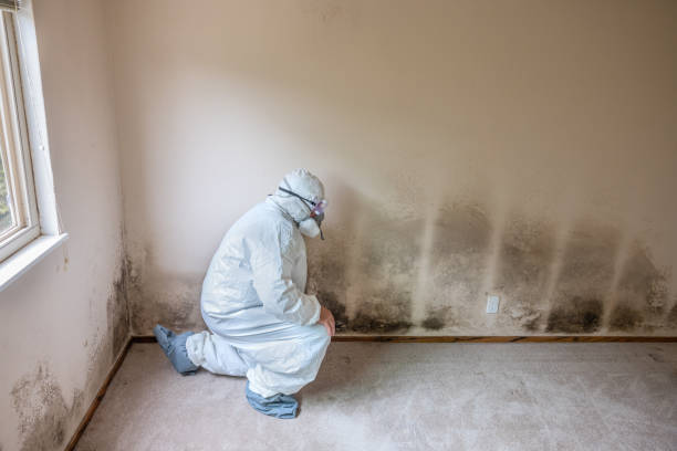 Crawl Space Mold Removal in Middletown, DE